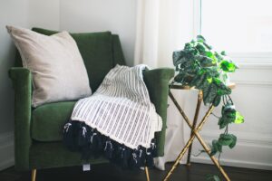 chair, home, nature, room, plant, ivy, interior, table, blanket, pillow, curtain, clean, drapes, silver satin ivy, still life